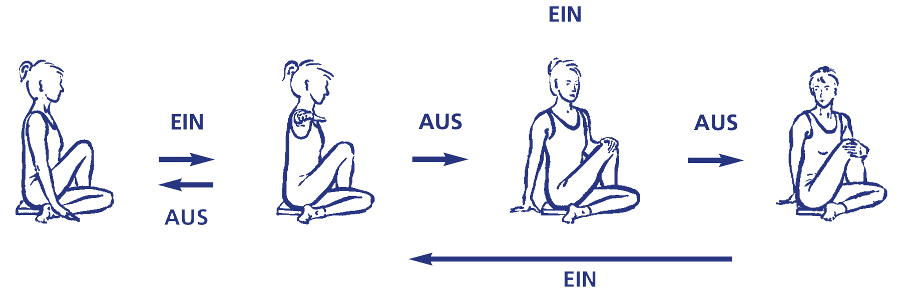 Ardha matsyendrāsana – Vinyāsa, Wege in die Übung