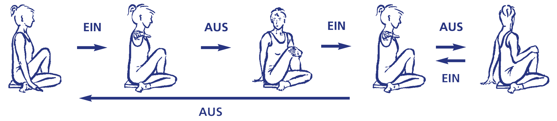 Ardha matsyendrāsana – Vinyāsa, Wege in die Übung