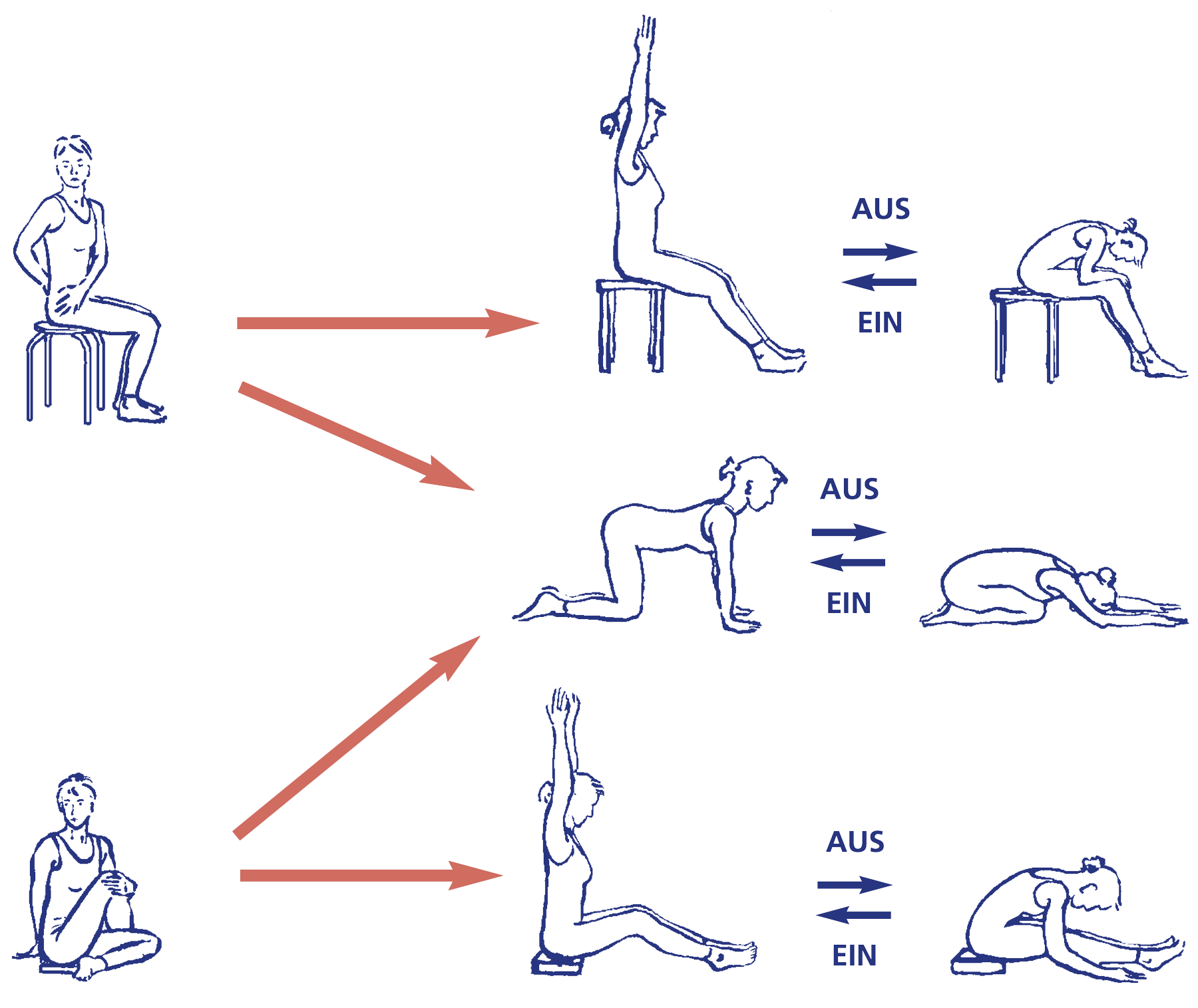 Der Ausgleich für ardha matsyendrāsana