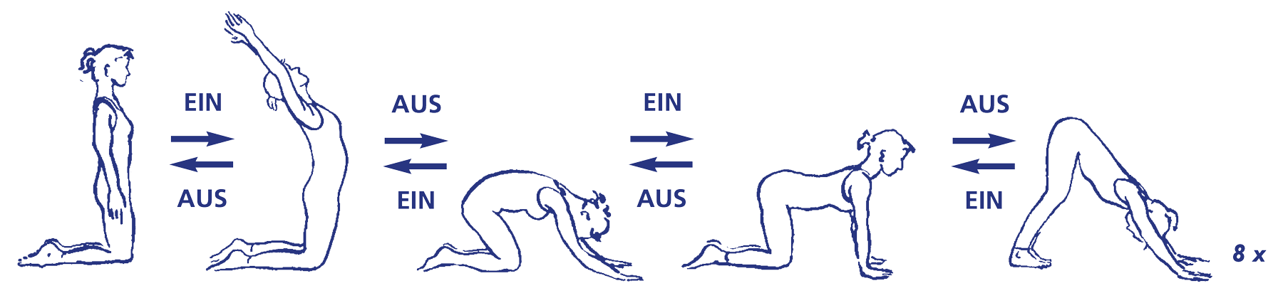 Vinyāsa zu adhomukha śvānāsana