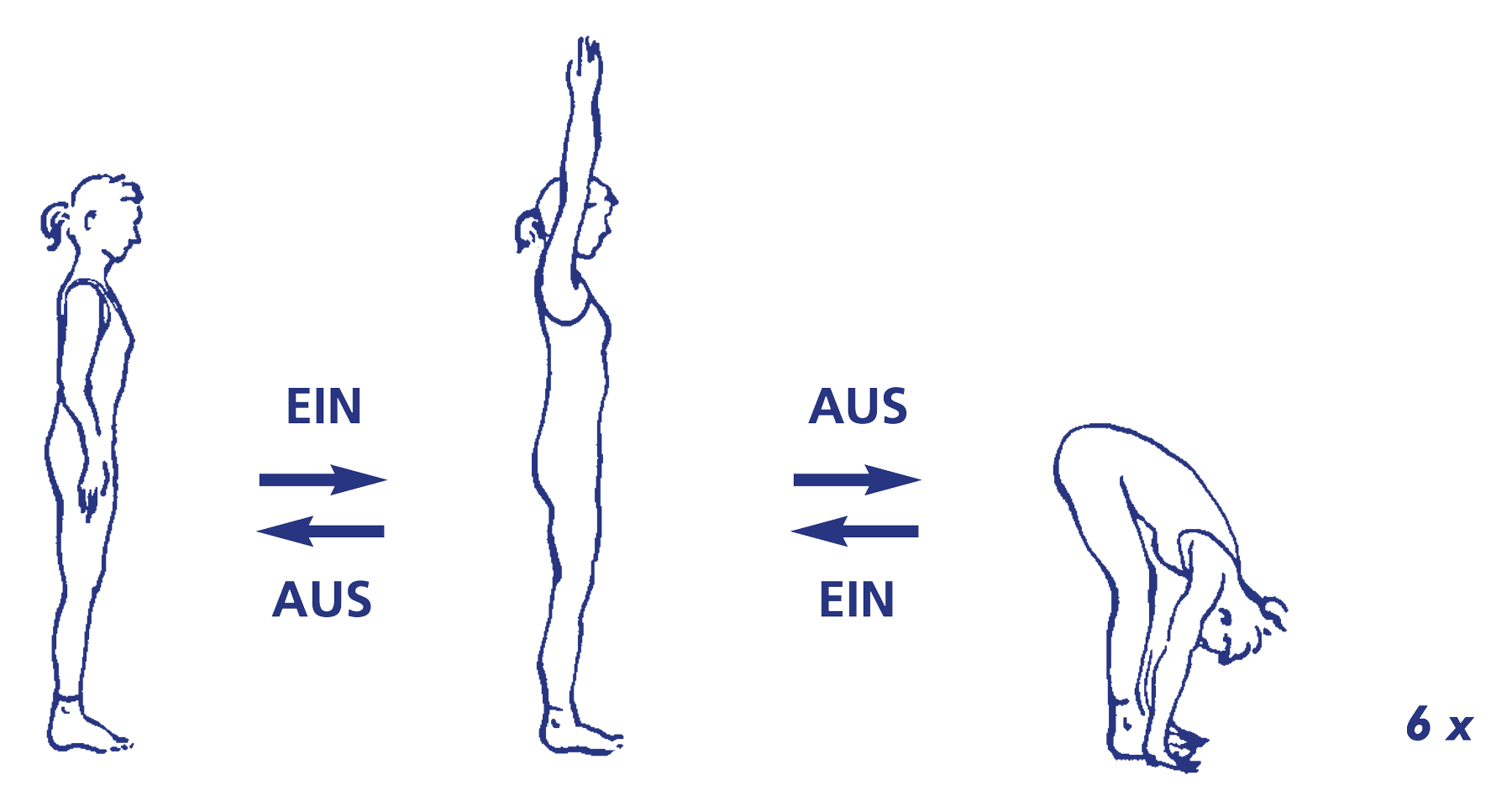 Uttānāsana