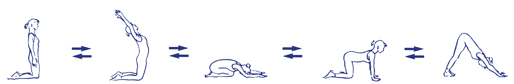 Vinyāsa zu adhomukha śvānāsana