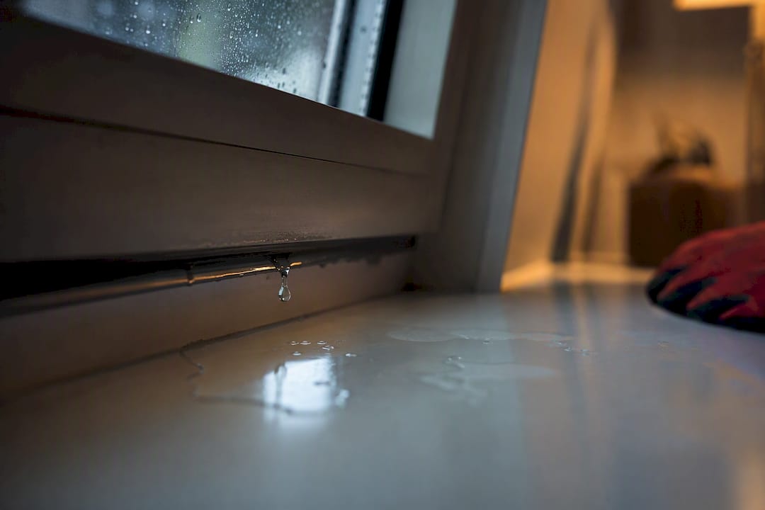 Dachfenster undicht? Sofort stoppen ohne Silikon, Praxischeck Köln/Bonn