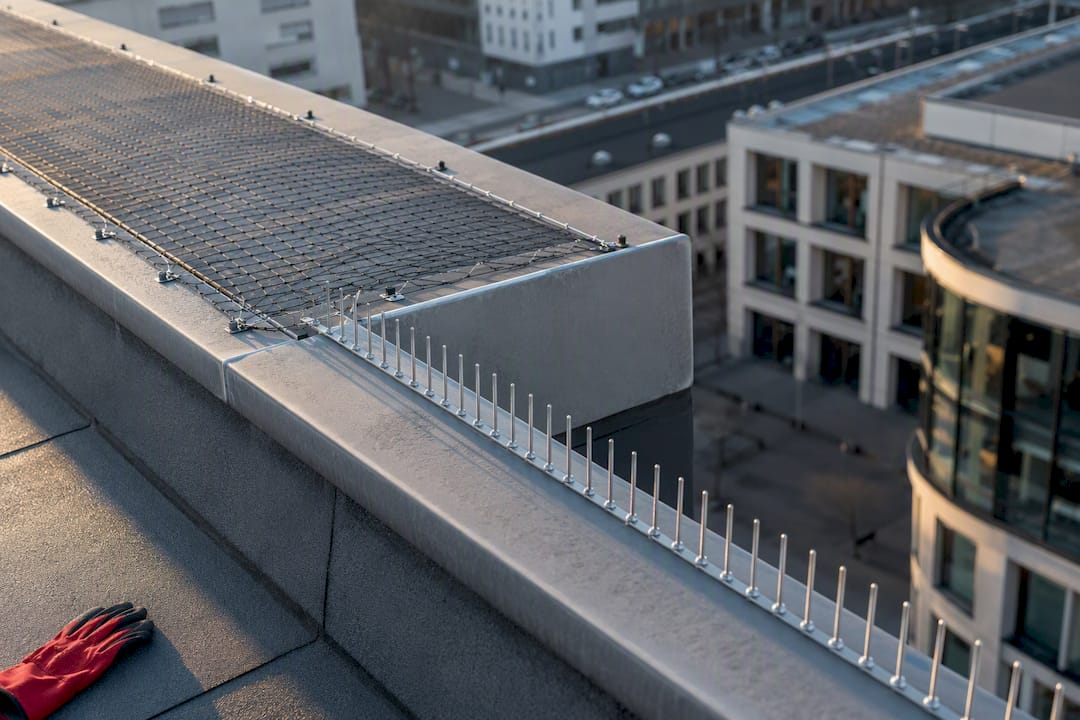 Taubenabwehr Dach: Diese Systeme wirken wirklich