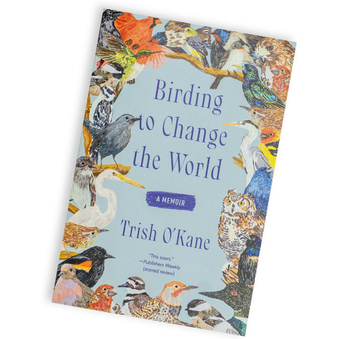 Birding to Change the World by Trish O'Kane is now available to purchase in the Nature Shop, located inside Rowe Visitor Center.