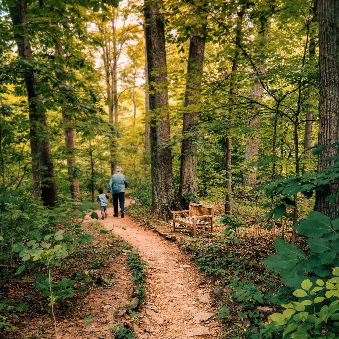 Grandfather and grandchild walk hand-in-hand, passing a Tribute Bench along the trail.