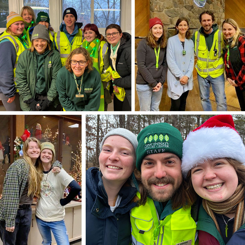 Staff and volunteers during their shifts at Light in the Forest.