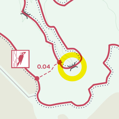 Map of Long Branch Farm & Trails and the bridge closure on the Woodpecker Trail.