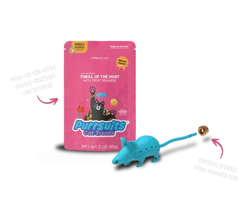 Pet product design and manufacturing