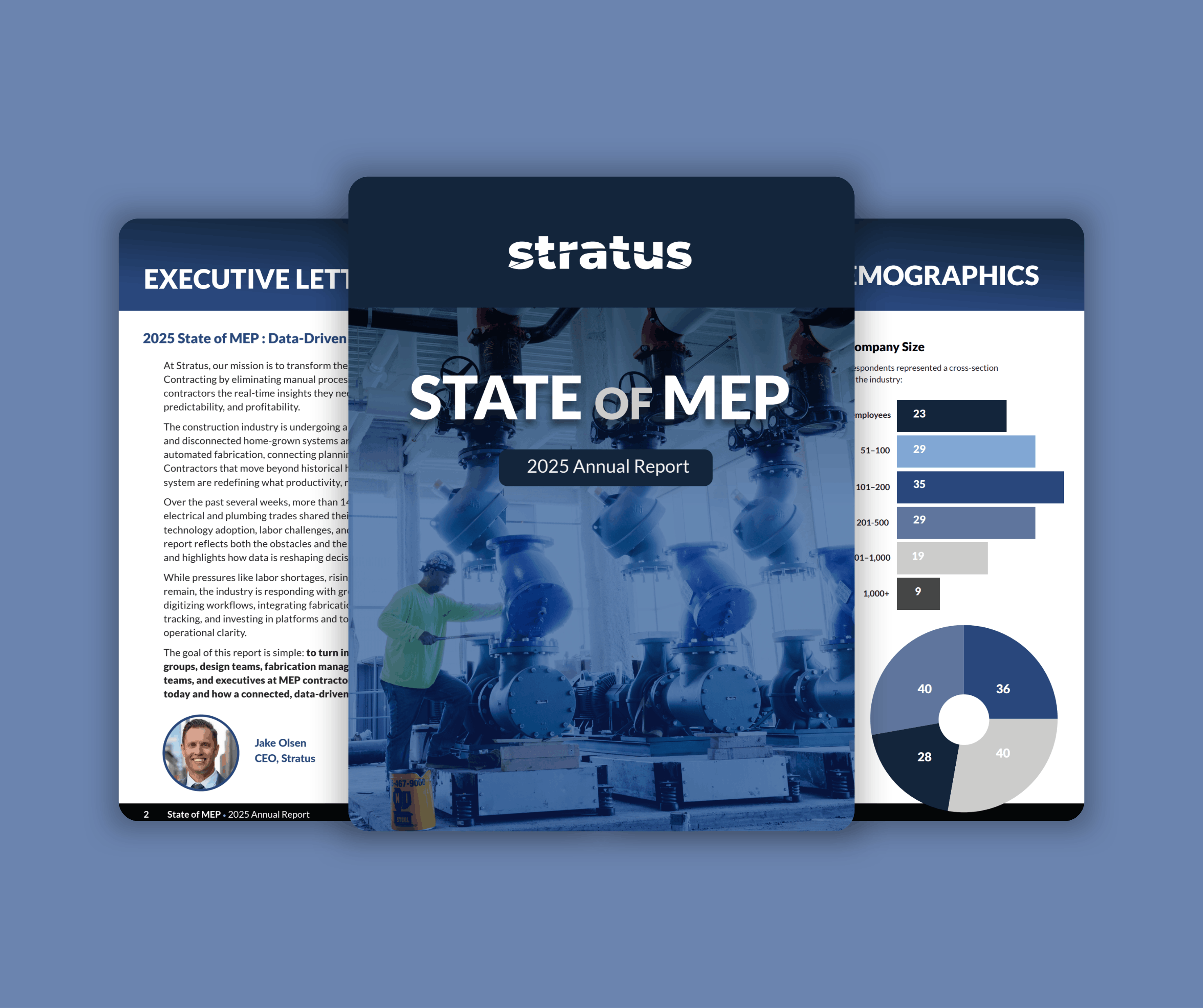 2025 Annual Report: State of MEP