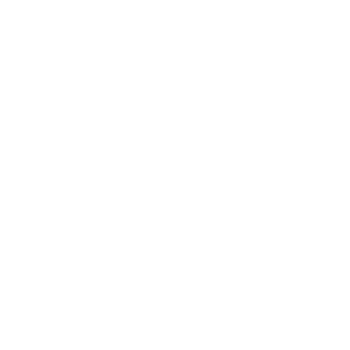 White X close button