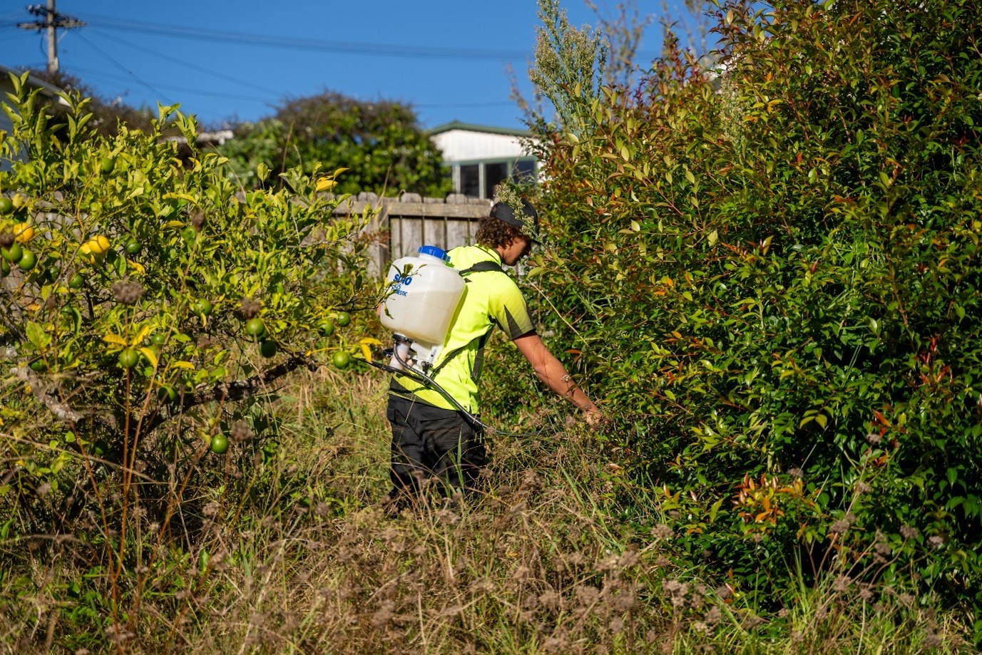Winter Weeding: Simple Ways to Keep Your Garden Tidy All Season