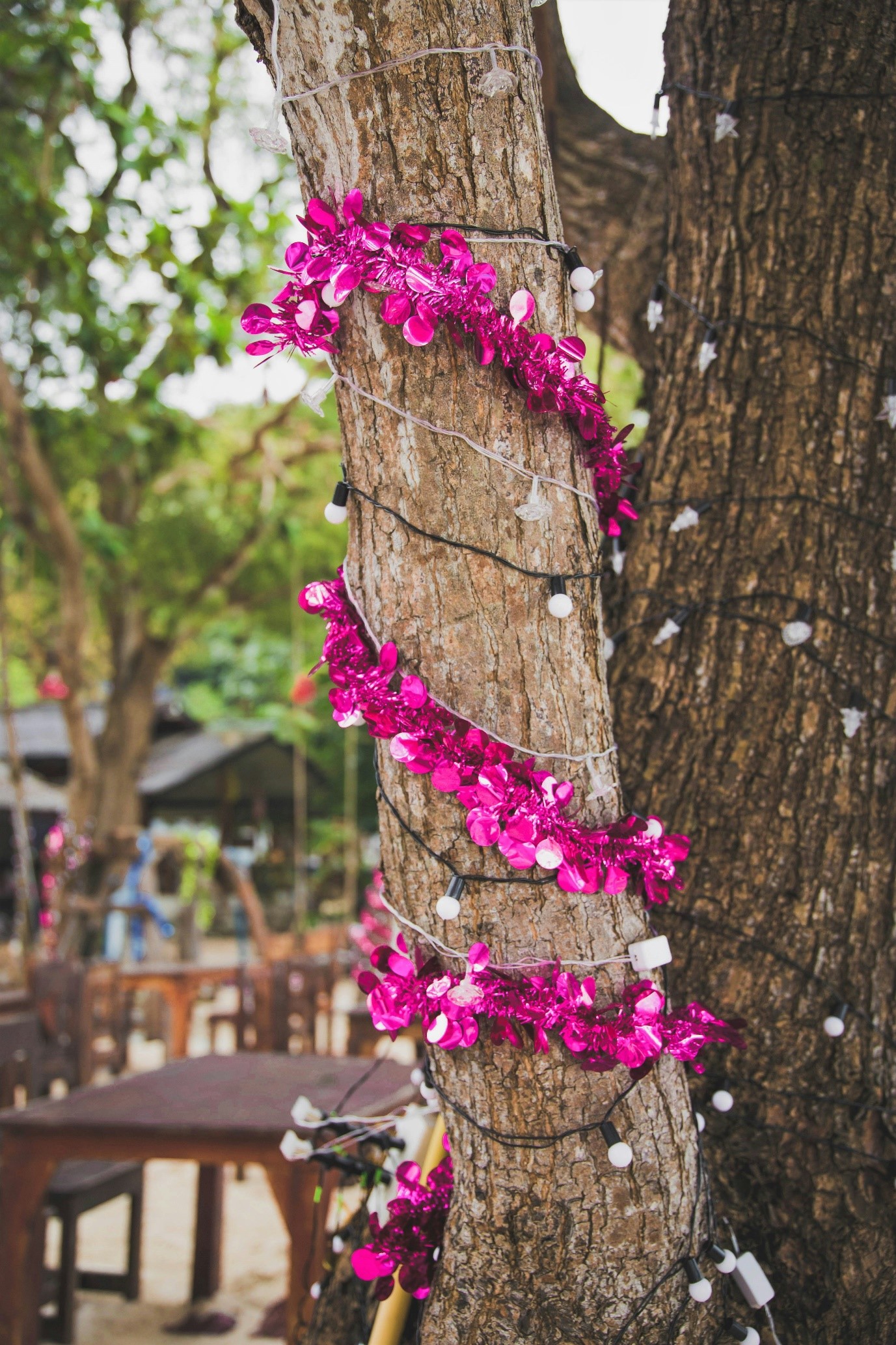 How to Decorate Your Garden for Christmas on a Budget