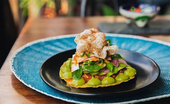 guacamole, tortilla élaborée, coloré