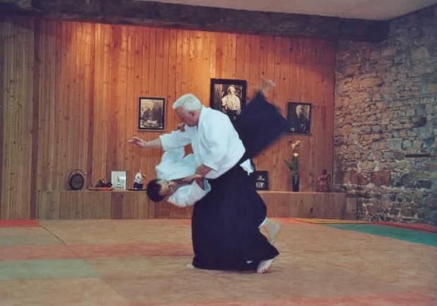 Combattants d'arts martiaux en tenue de combat