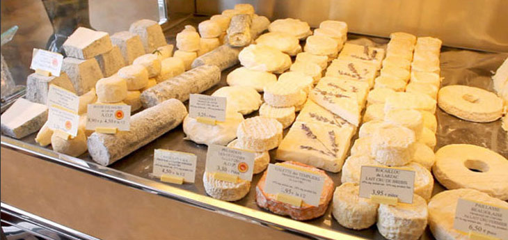 Etalage avec divers fromages