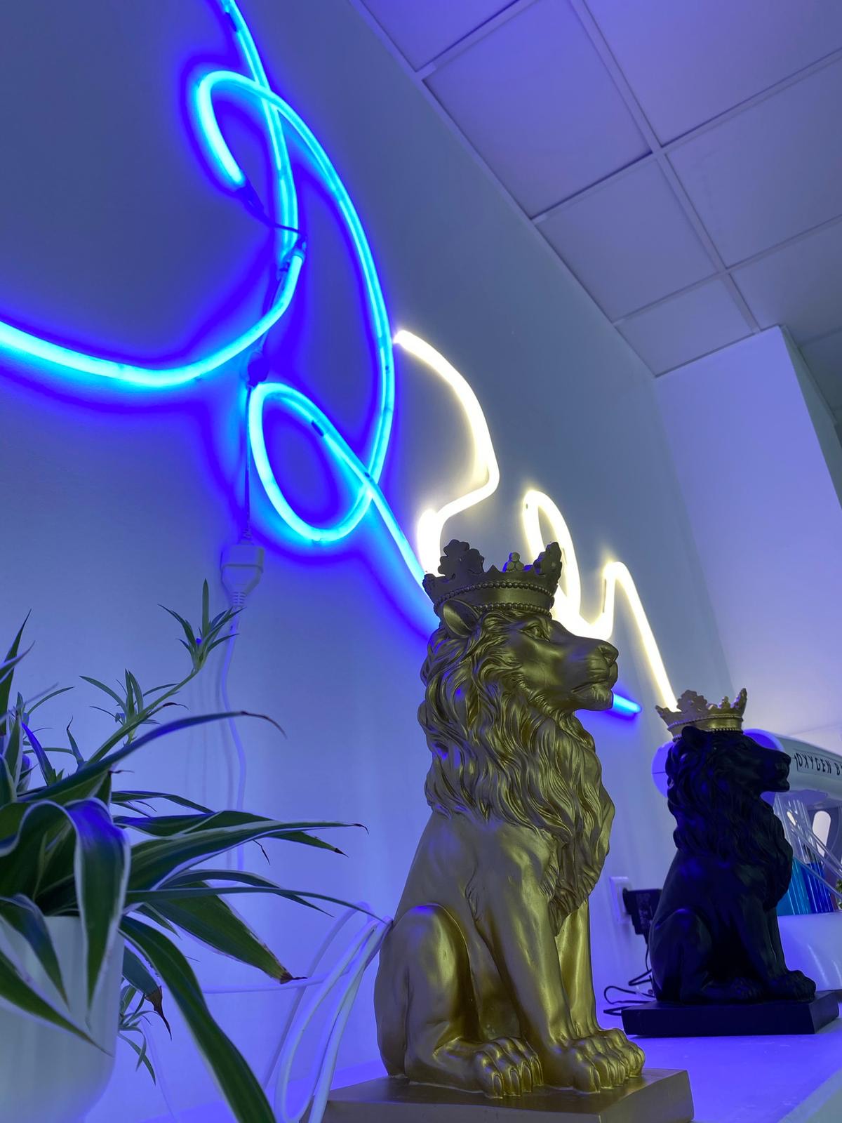 Intérieur du salon O2Zen