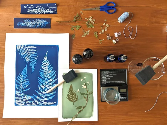 Cyanotypes,  bleu, photographie 