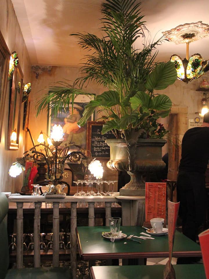 intérieur lumineux et plante du bar restaurant