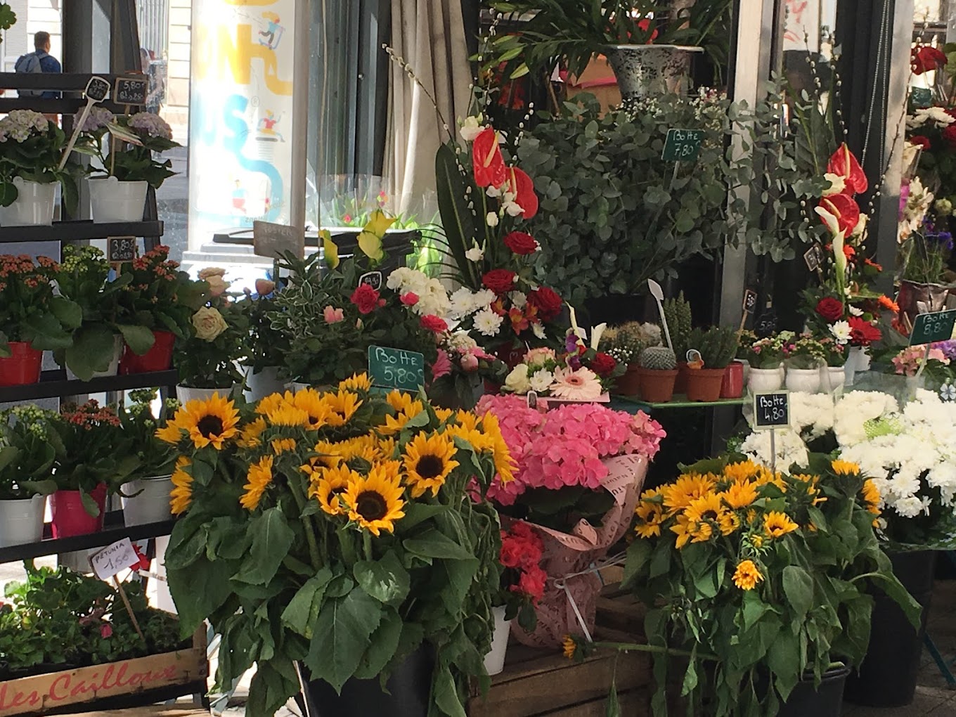 Fleuriste, fleurs de saison, tournesols 