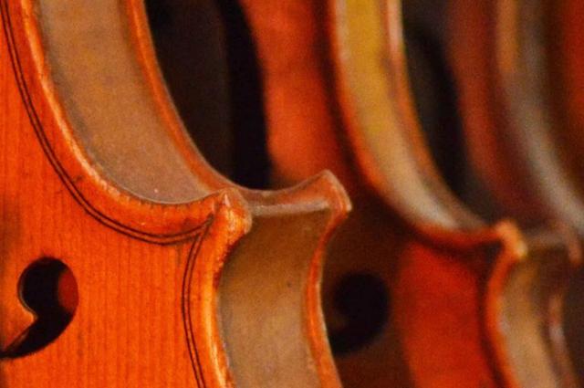 Violon