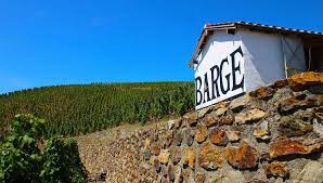 domaine viticole, vignes, vin