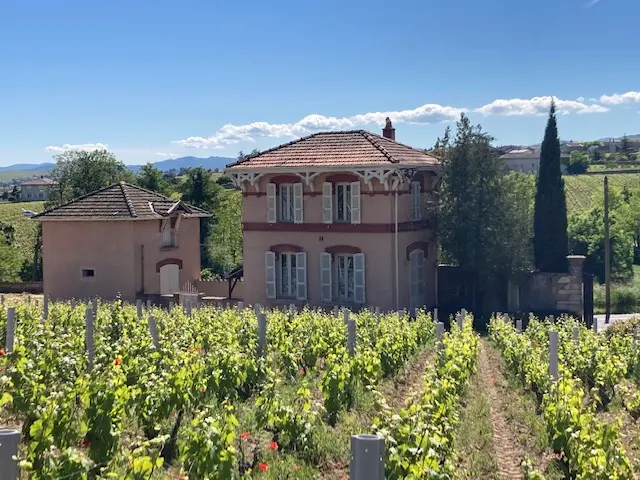 Vignes et domaine 