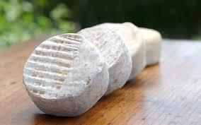 La rigotte de Condrieu, un fromage qui a du goût ! -