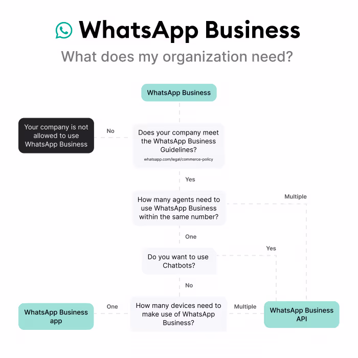 WhatsApp business app vs WhatsApp business API