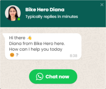 Bike Hero Diana chatbot example. "Chat Now" for a best chatbot experience.