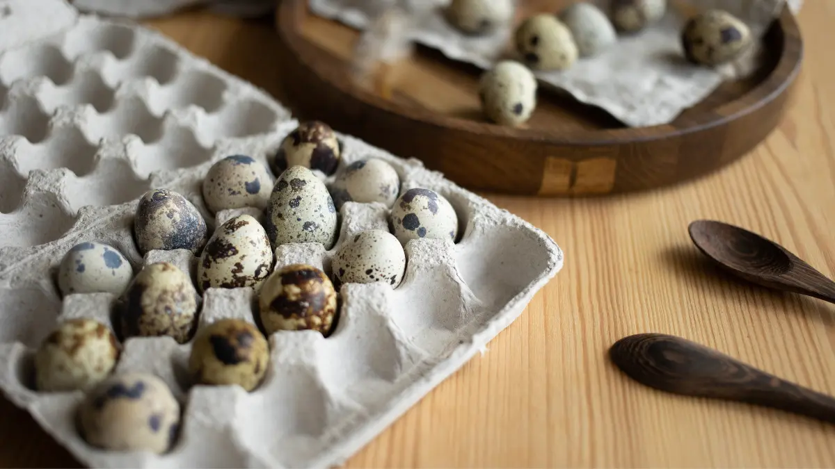 Prepeličja jaja na stolu u kartonu prije konzumacije za mršavljenje