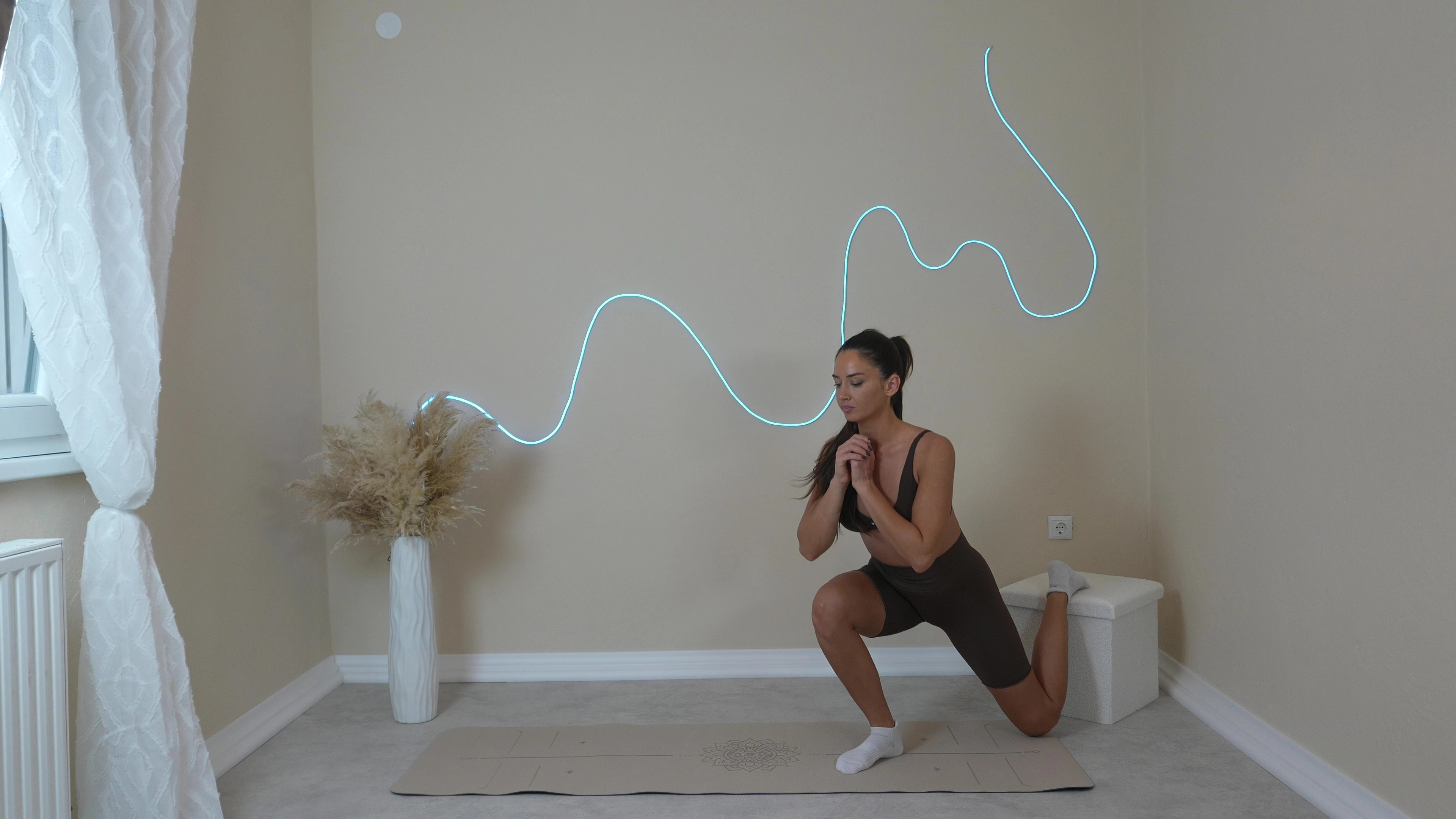 bulgarian split squat