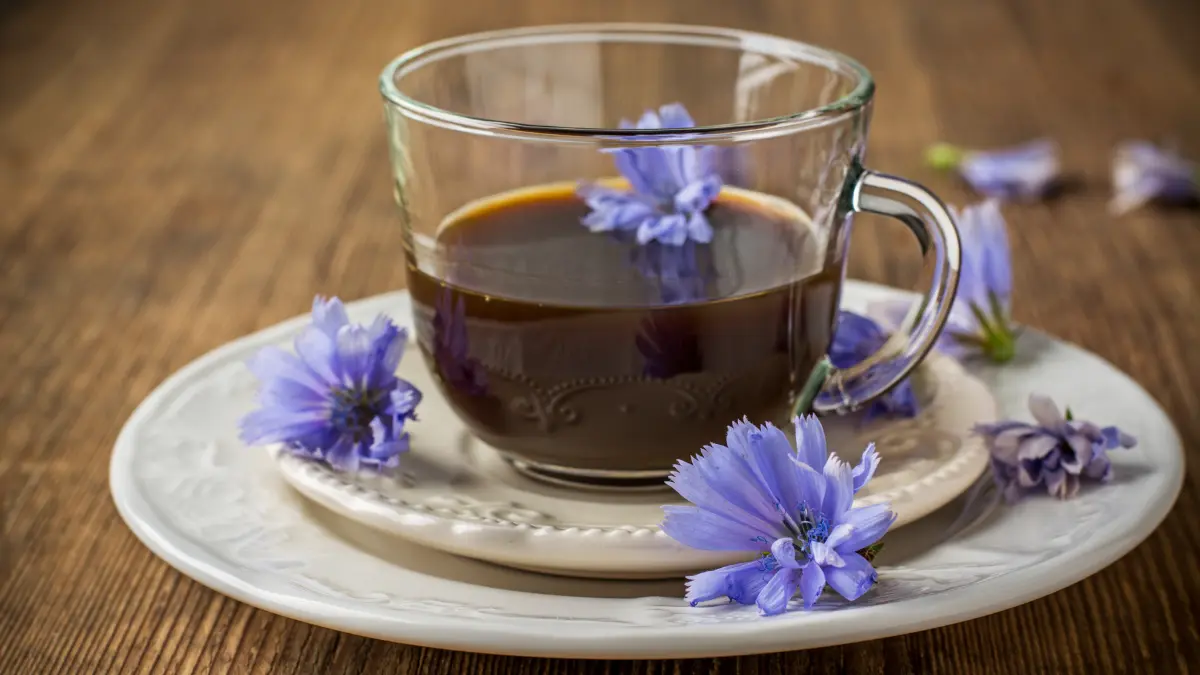 cikorija kao čaj za dijabetes