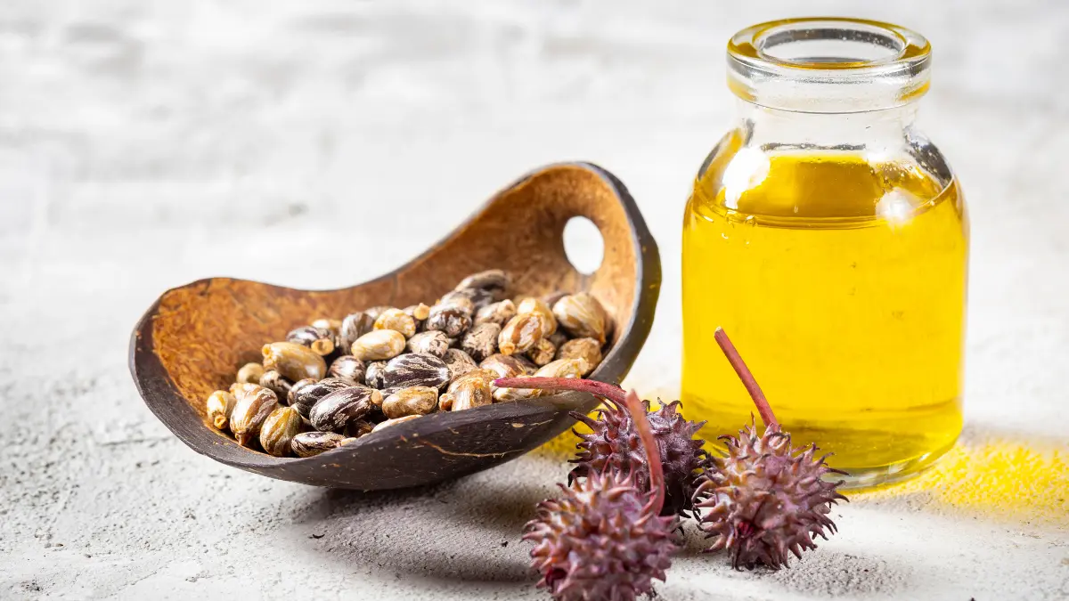 cinusovo ulje u bočici uz plod ricinusa na stolu