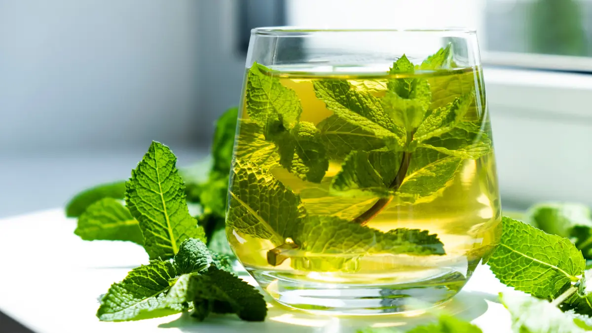 čaj od mente s kimom za dispepsiju, želudac i gastritis