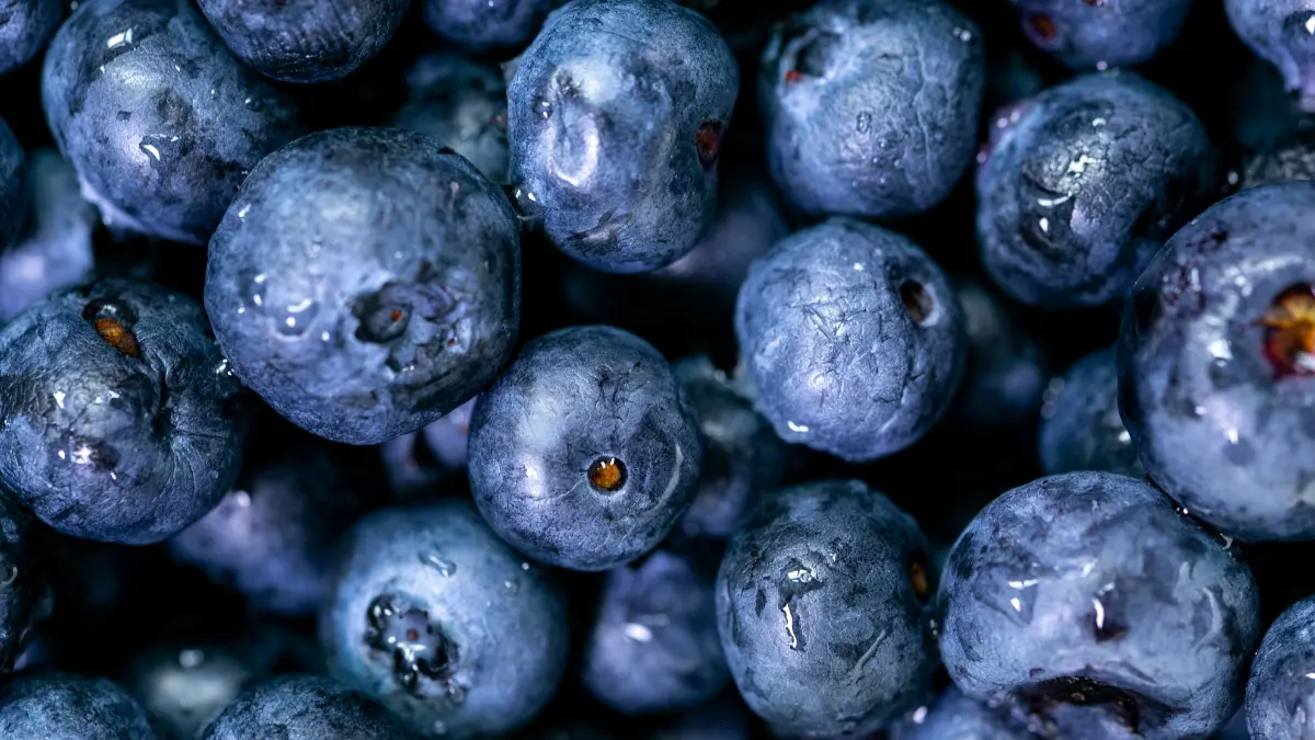 Borovnice za mršavljenje