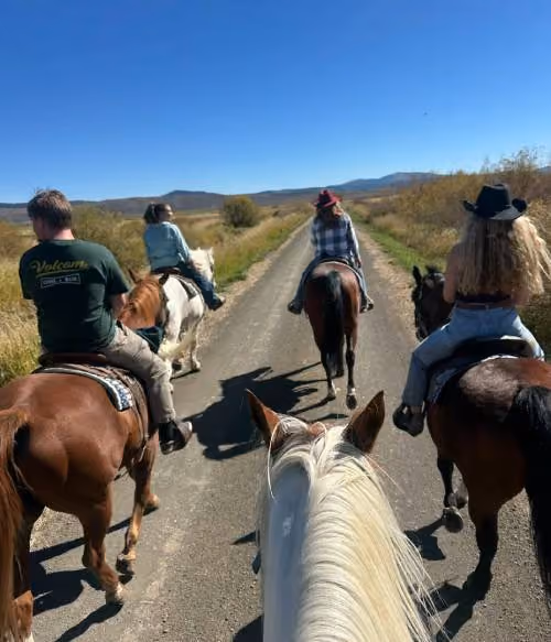 Four people horseback riding on a dirt road under a clear blue sky, surrounded by fields and hills in the distance, viewed from behind a white horse's head.