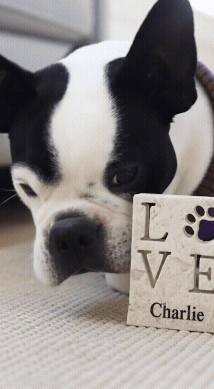 AI_Video_Generated_Charlie_RDCGroup