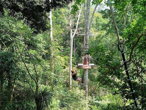 Экстрим - парк "Flying Hanuman" + кормление слонов