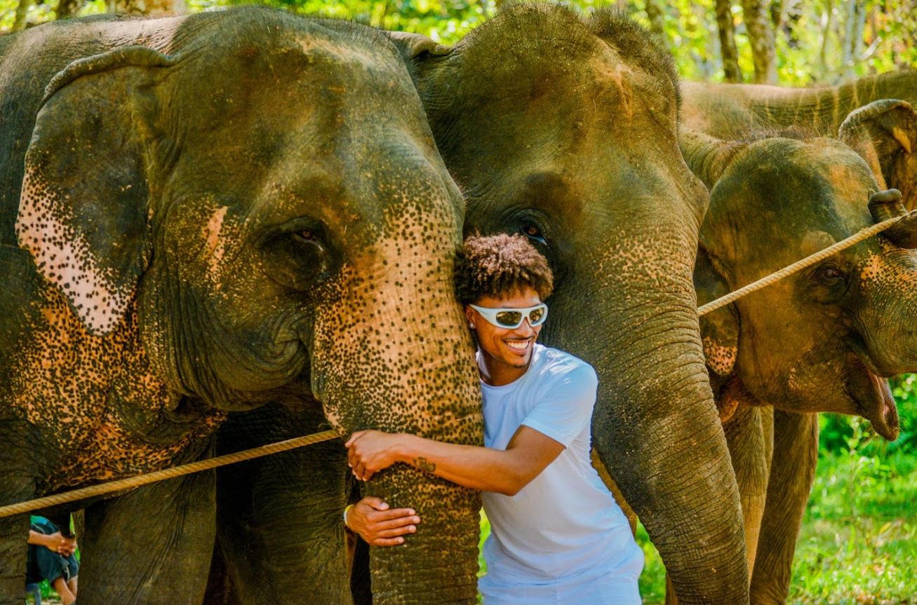 Заповедник слонов Lily Elephant Camp