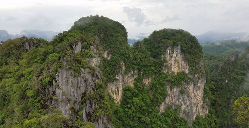 Джунгли Краби