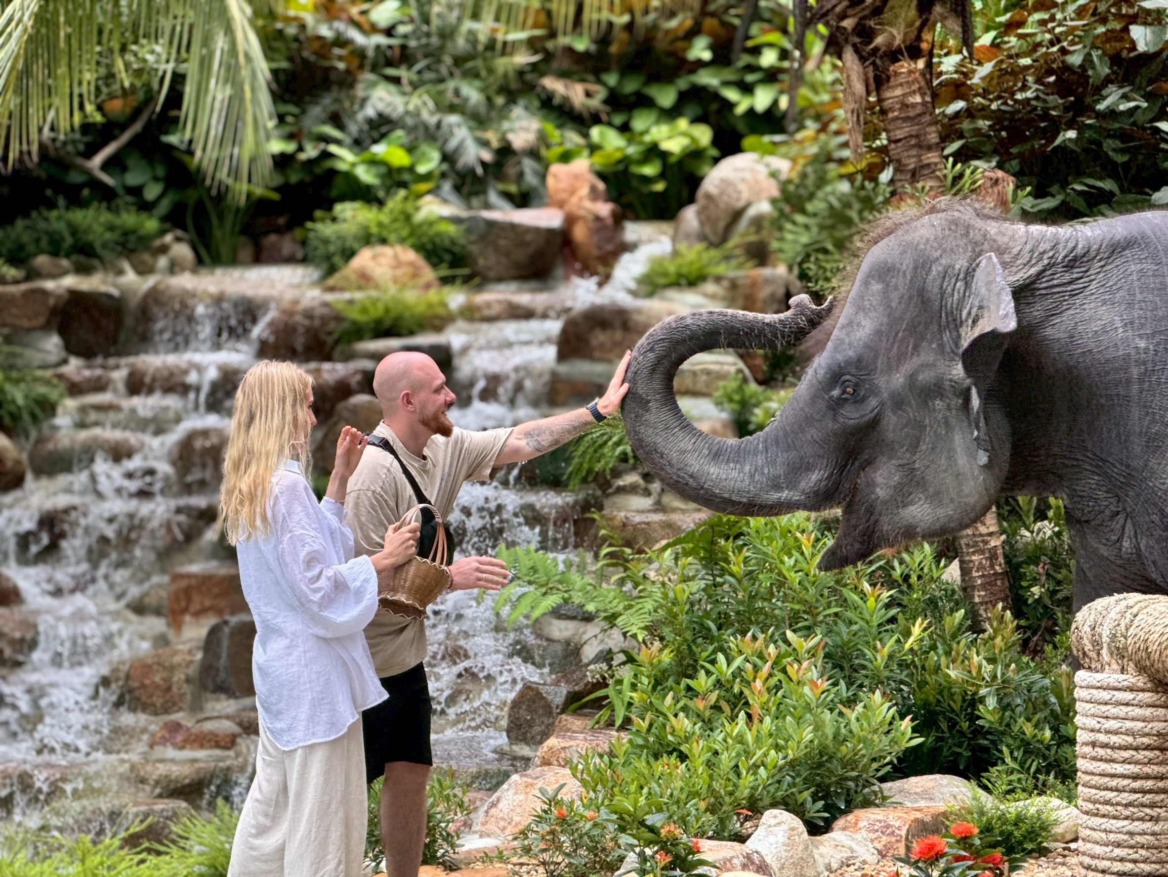 Заповедник слонов Elephant Mountain Care