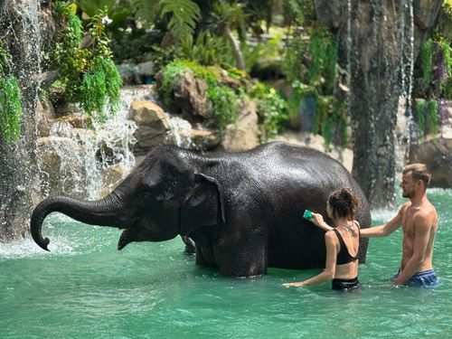 Заповедник слонов Elephant Mountain Care