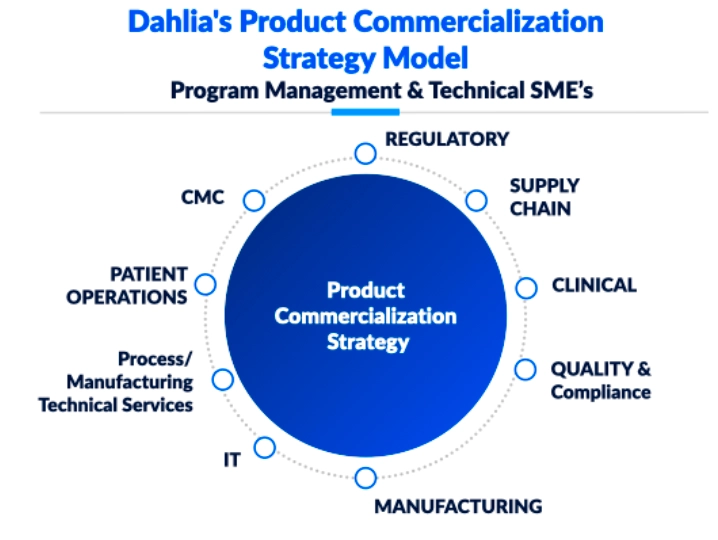 Cell & Gene Therapy Program Management & Technical SME's. A Product Commercialization Strategy image.