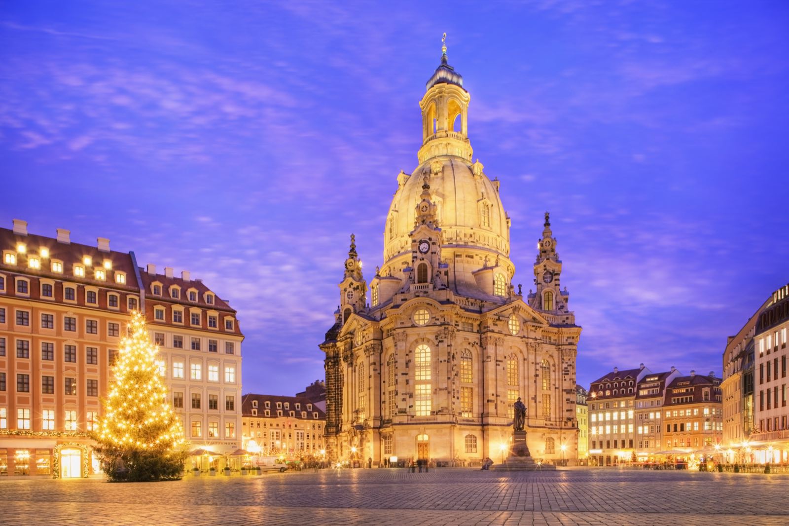 Frauenkirche in Dresden at dusk with a Christmas tree on the Neumarkt.
