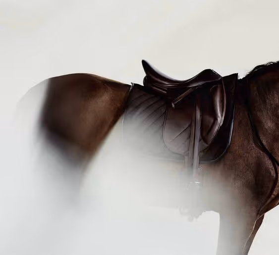 My personal is my horse