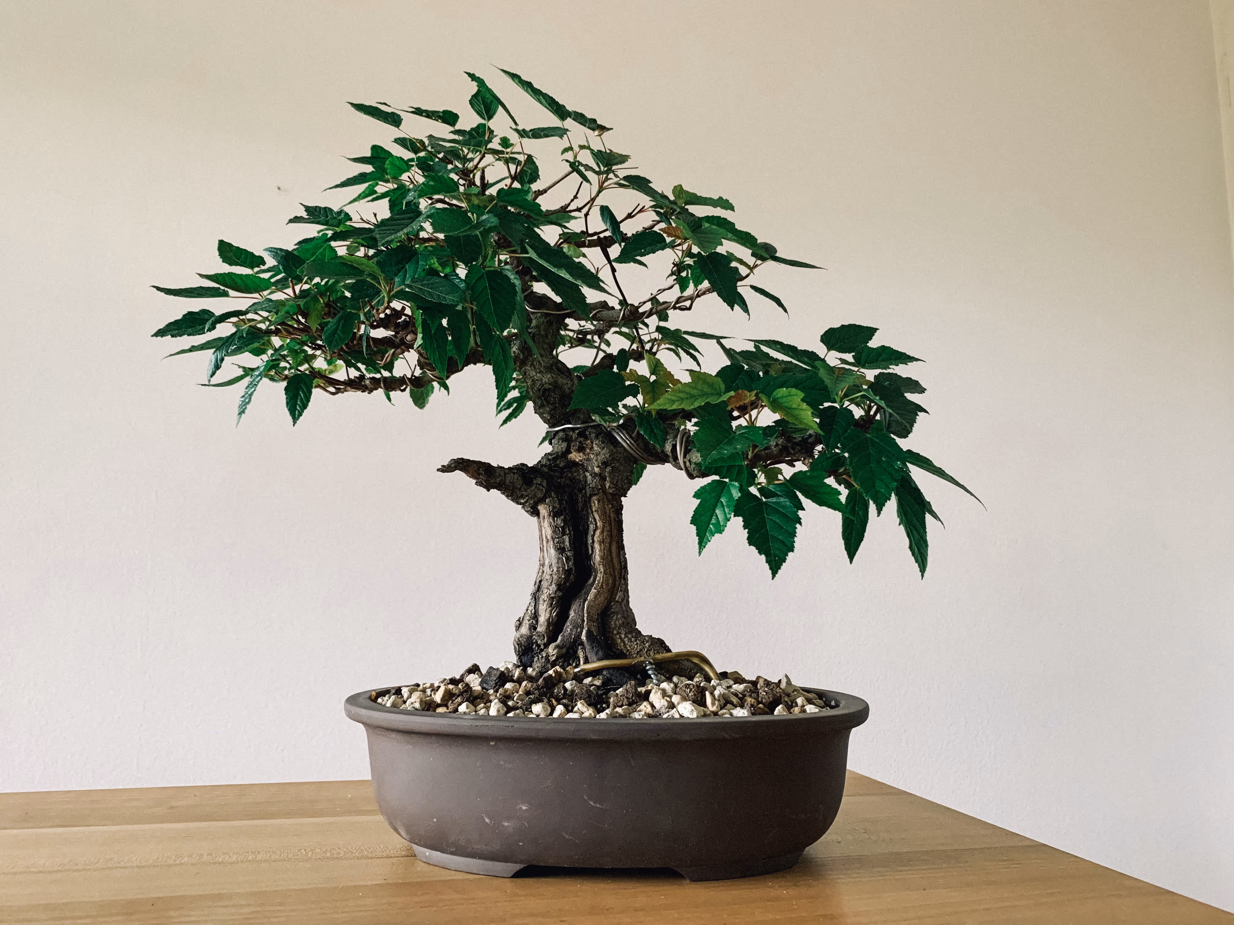 Precision from precious metals to plant care