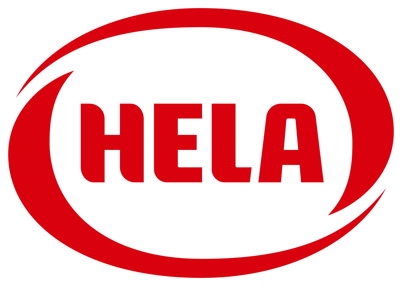 Export Manager / Retail Business