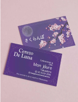 Ejemplos de tarjetas de presentación