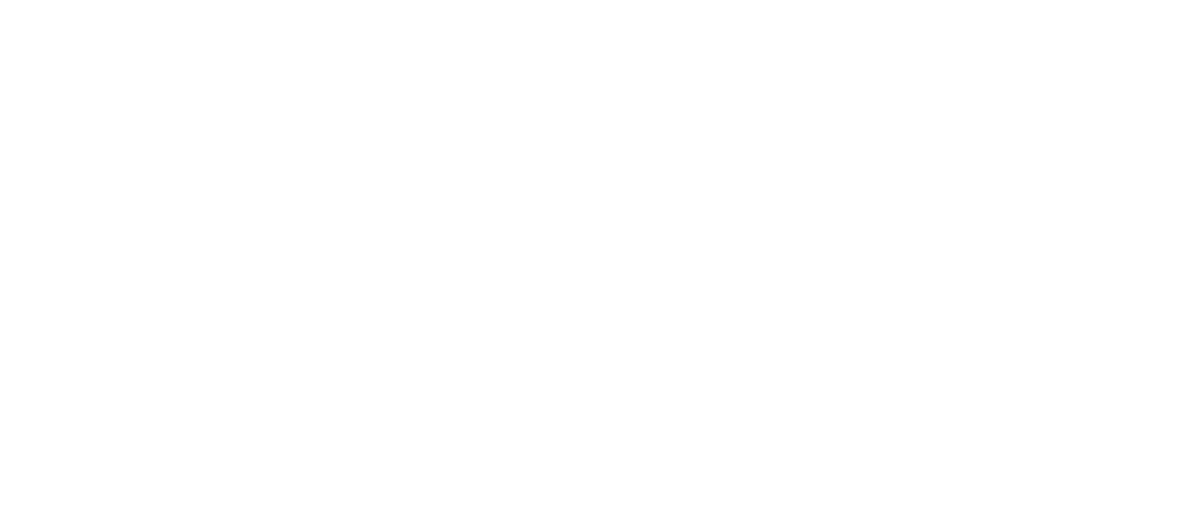 Minimalist Valiify logo with bold black text and distinctive double dotted lowercase "i" letters.